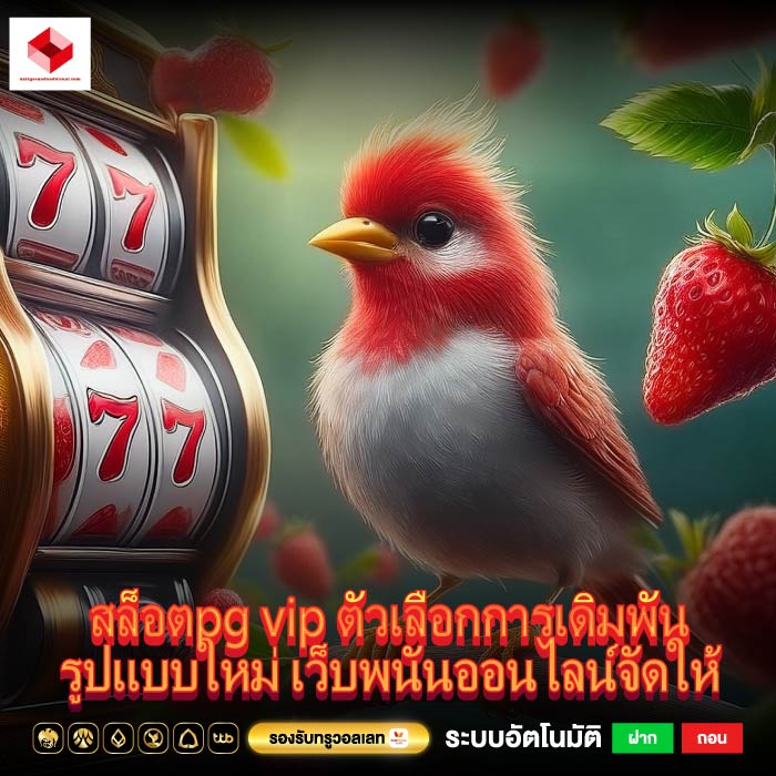 สล็อตpg vip ตัวเลือกการเดิมพันรูปแบบใหม่ เว็บพนันออนไลน์จัดให้